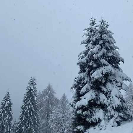 I Profumi Del Bosco 3* Enego