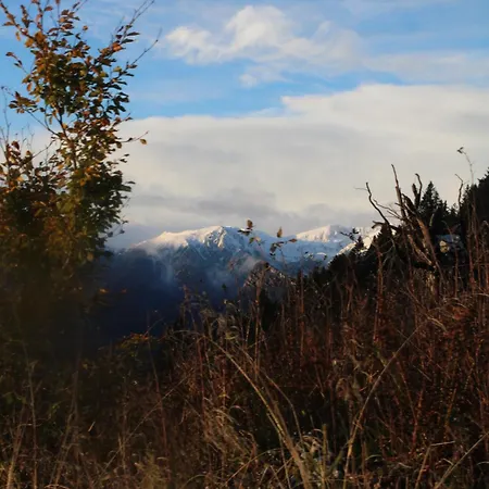 Bed & Breakfast I Profumi Del Bosco 3*
