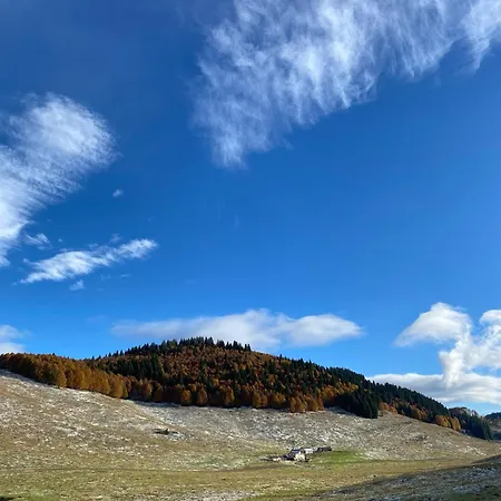 I Profumi Del Bosco Enego