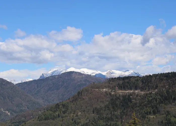 I Profumi Del Bosco Enego