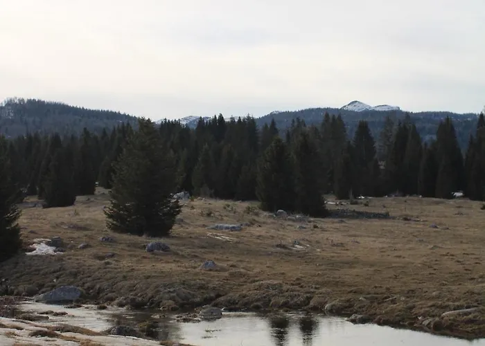 Nocleg ze śniadaniem I Profumi Del Bosco